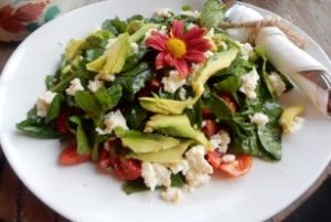 Caprese Salad with Avocado - Rural Physio at Your Doorstep