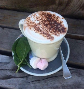 Peppermint Hot Chocolate - Physio Direct NZ