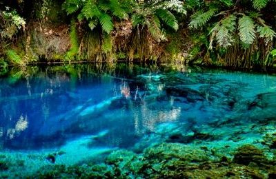 July 2016 - Physio Direct NZ