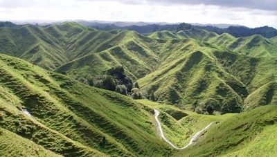 November 2016 - Physio Direct NZ