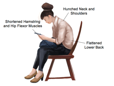 Helpful Stretches At Your Desk - Physio Direct NZ