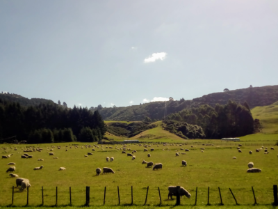 March 2018 - Physio Direct NZ