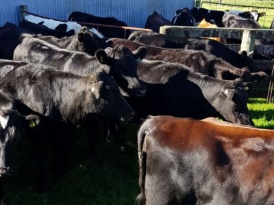 April 2018 - Physio Direct NZ