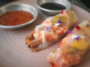 Spring Rolls Recipe - Rural Physio at Your Doorstep