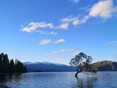 November 2019 - Physio Direct NZ