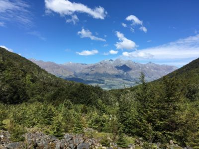 January 2020 - Physio Direct NZ