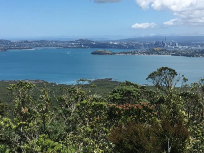 February 2020 - Physio Direct NZ