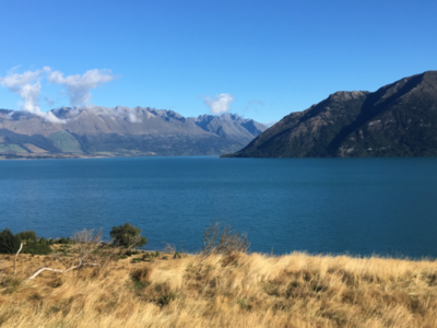 March 2020 - Physio Direct NZ